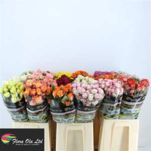 R TR GEM IN FUST | Star&Star Produktbild